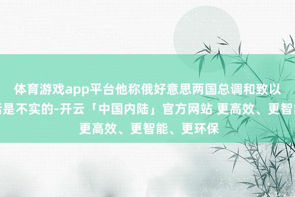 体育游戏app平台他称俄好意思两国总调和致以为拒十足话是不实的-开云「中国内陆」官方网站 更高效、更智能、更环保