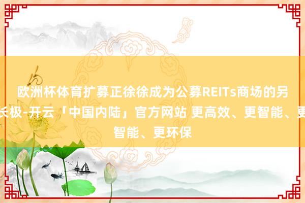 欧洲杯体育扩募正徐徐成为公募REITs商场的另一增长极-开云「中国内陆」官方网站 更高效、更智能、更环保