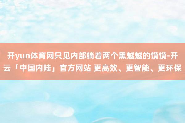 开yun体育网只见内部躺着两个黑魆魆的馍馍-开云「中国内陆」官方网站 更高效、更智能、更环保