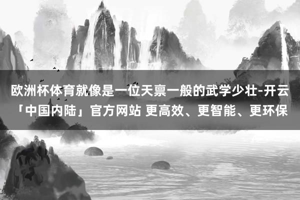 欧洲杯体育就像是一位天禀一般的武学少壮-开云「中国内陆」官方网站 更高效、更智能、更环保