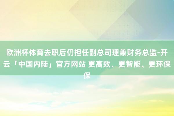 欧洲杯体育去职后仍担任副总司理兼财务总监-开云「中国内陆」官方网站 更高效、更智能、更环保