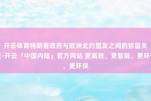 开云体育特朗普政府与欧洲北约盟友之间的弥留关联-开云「中国内陆」官方网站 更高效、更智能、更环保