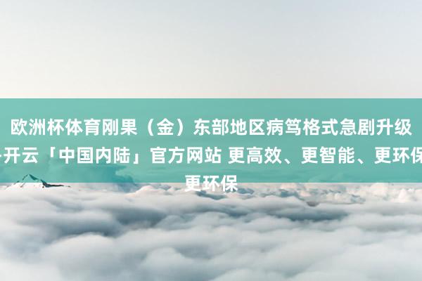 欧洲杯体育刚果（金）东部地区病笃格式急剧升级-开云「中国内陆」官方网站 更高效、更智能、更环保
