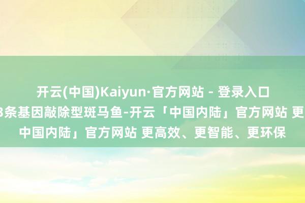 开云(中国)Kaiyun·官方网站 - 登录入口将3条野生型斑马鱼和3条基因敲除型斑马鱼-开云「中国内陆」官方网站 更高效、更智能、更环保