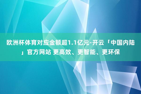 欧洲杯体育对应金额超1.1亿元-开云「中国内陆」官方网站 更高效、更智能、更环保