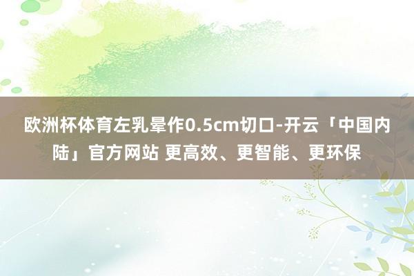 欧洲杯体育左乳晕作0.5cm切口-开云「中国内陆」官方网站 更高效、更智能、更环保