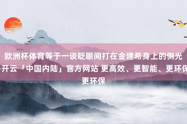 欧洲杯体育等于一谈眨眼间打在金建希身上的侧光-开云「中国内陆」官方网站 更高效、更智能、更环保